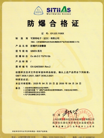 QNES(CHINESE)